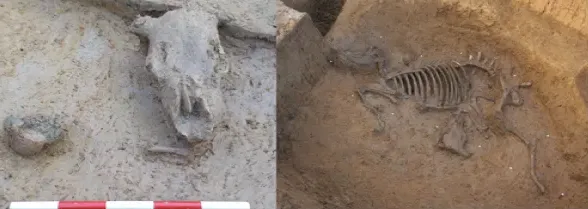 Image of Airport buisness park excavations